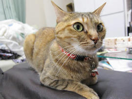 IMG07534.jpg