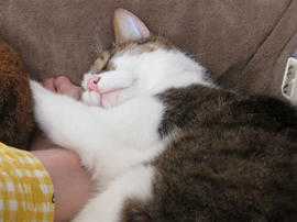 IMG07537.jpg