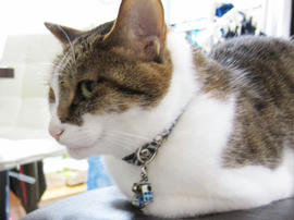 IMG07538.jpg
