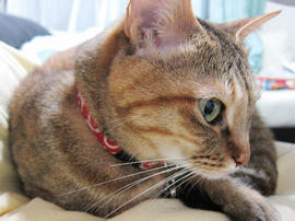 IMG07539.jpg