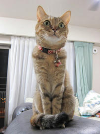 IMG07542.jpg