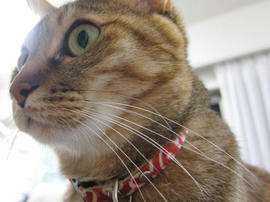 IMG07543.jpg