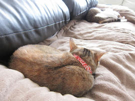 IMG07544.jpg