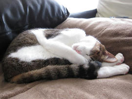 IMG07545.jpg