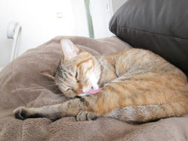 IMG07546.jpg