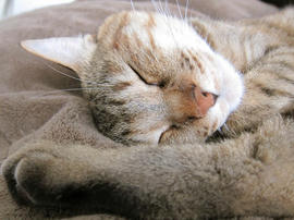 IMG07547.jpg