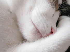 IMG07548.jpg