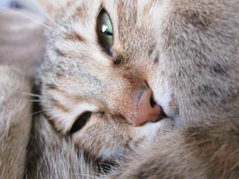 IMG07549.jpg