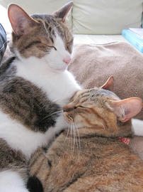 IMG07550.jpg