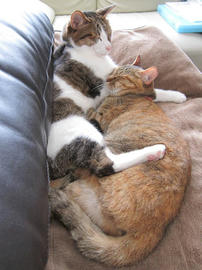 IMG07551.jpg