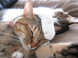 IMG07552.jpg