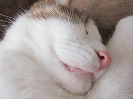 IMG07553.jpg