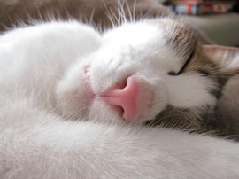 IMG07554.jpg