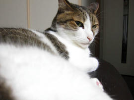 IMG07555.jpg