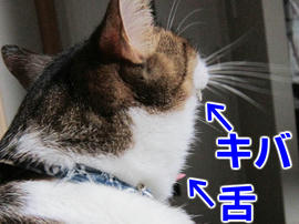 IMG07556.jpg