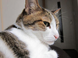 IMG07557.jpg