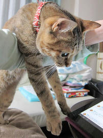 IMG07559.jpg