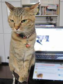IMG07560.jpg