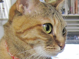 IMG07561.jpg