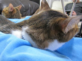 IMG07570.jpg