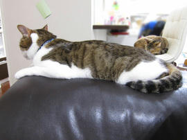 IMG07580.jpg