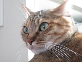 IMG07585.jpg