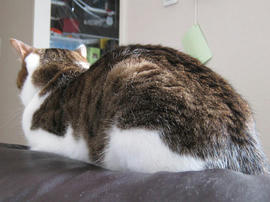 IMG07586.jpg