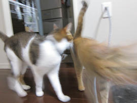 IMG07587.jpg