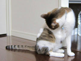 IMG07589.jpg