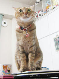 IMG07590.jpg