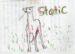 static102.jpg