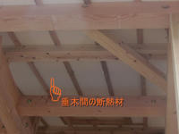 MH-110617-2.JPG