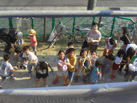 CIMG0106.JPG
