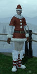 ff14_20101223_02.jpg