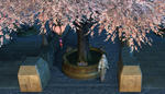 ff14_110220_01.jpg