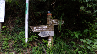 丸山3