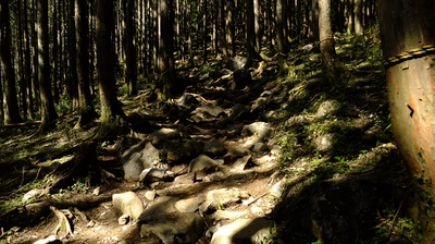 登山道