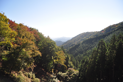 正丸峠からの景色