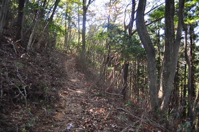 伊豆ヶ岳山道