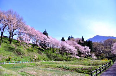 　羊山公園　