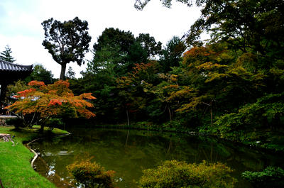　高台寺　