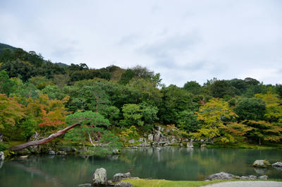 　天龍寺　