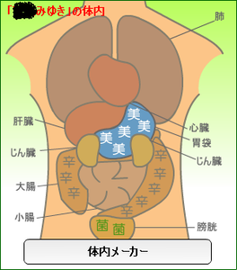 私の体内・・・。