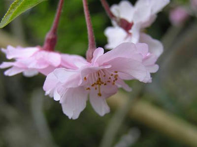 a88c880d.jpg