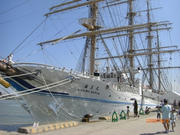 CIMG0136.JPG