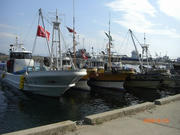 20090823iesima4.jpg