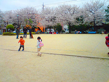 80331_3.jpg