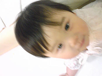 80331_6.jpg