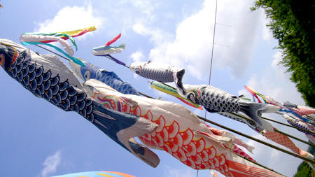 80505_1.jpg