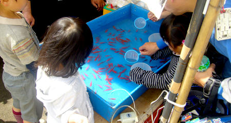 80505_4.jpg
